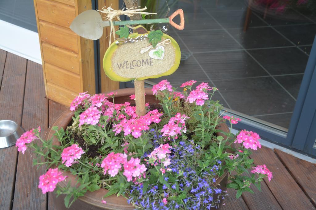 Bed and Breakfast Les Condamines Antoingt Exterior foto
